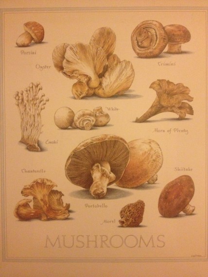 This is a mushroom poster we have framed on our wall. It is from the back cover of Cooks Illustrated Magazine. 