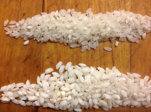 Arborio rice on the bottom. Japonica rice on the top. The arborio is whiter because it has more starch and less protein. Note that the shape is even stumpier than Japonica. (Japonica or "sushi rice" is basic Japanese short-grain rice.)