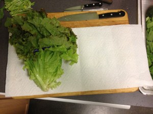 Lay the veg out on a clean, dry paper towel. If the greens are visibly dirty, spray off the dirt, but don't leave too much water clinging to the veg.