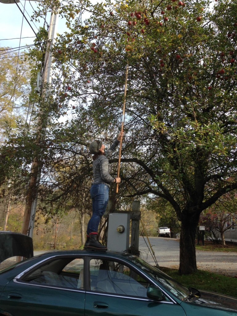 Evidence of the crime.