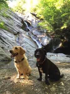 2016-07-26 16.44.05-1